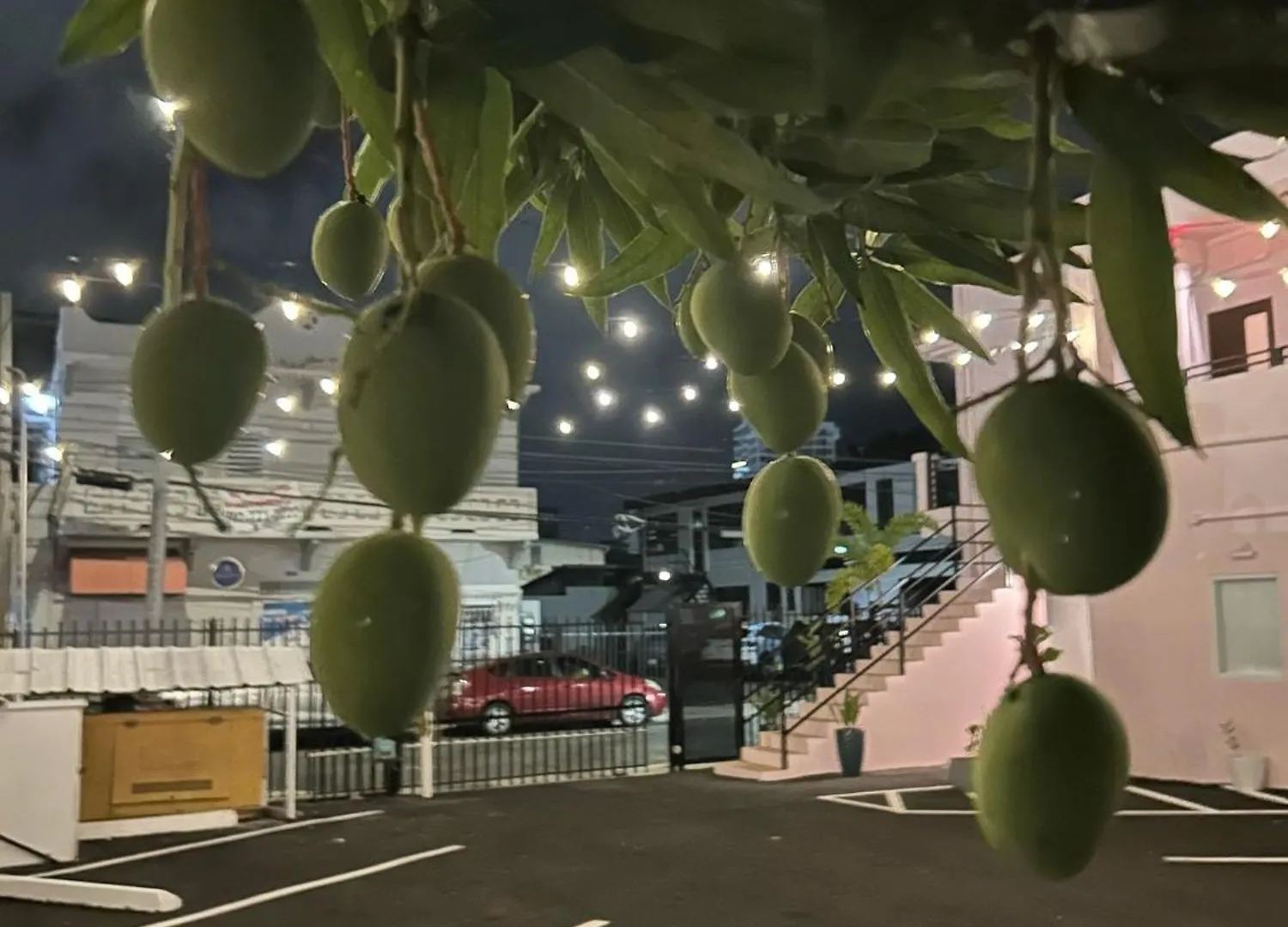 Room 3 Vibrant Walkable Hub In Santurce 圣胡安 酒店